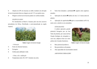 

Adições de 20% de leucena ao milho resultam em elevação



Solos bem drenados e profundos vegetais solos argilosos

do teor de proteína bruta na silagem em até 12 % na matéria seca;

pesados;





Silagens exclusivas de leucena podem ser confeccionadas.

Aplicação de calcárioAnálise do solo, 2 a 3 meses antes do

plantio;
FEIJÃO GUANDU
Foi introduzida no Brasil e Guianas pela rota dos escravos
procedentes da África; Distribuída e semi-naturalizada na região



Aplicação de superfosfatosuprir as necessidades de P e S,

junto com o calcário ou na semeadura.

tropical;

ESTILOSANTES
A planta apresenta grande
potencial forrageiro por ser boa
fonte de proteína, por causa da boa
fixação biológica de nitrogênio e,
com isso, adapta-se bem aos solos
pobres dos Cerrados brasileiros.
Fonte: imagem retirada do Google.

Fonte: imagem retirada do Google.

- Utilização



Bom potencial produtivo;



Fonte de alimento humano;



Boa persistência sob pastejo;



Forragem;



Alta capacidade de ressemeadura natural.



Cultura para adubação verde.
AMENDOIM FORRAGEIRO
- Clima, solo e adubação



Temperatura entre 20 e 40 °C durante seu ciclo;
25

 
