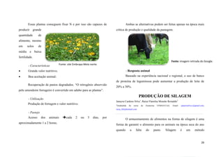 Essas plantas conseguem fixar N e por isso são capazes de
produzir grande
quantidade

Ambas as alternativas podem ser feitas apenas na época mais
crítica de produção e qualidade da pastagem.

de

alimento, mesmo
em
média

solos
e

de
baixa

fertilidade.
Fonte: imagem retirada do Google.

- Características

Fonte: site Embrapa Meio norte.



Grande valor nutritivo;

- Resposta animal



Boa aceitação animal;

Baseado na experiência nacional e regional, o uso de banco

Recuperação de pastos degradados. “O nitrogênio absorvido
pelo amendoim forrageiro é convertido em adubo para as plantas”.

de proteína de leguminosa pode aumentar a produção de leite de
20% a 30%.

PRODUÇÃO DE SILAGEM

- Utilização

Janayra Cardoso Silva1, Raíza Flamilsa Mourão Reinaldo1

Produção de forragem e valor nutritivo.

1

Graduanda

do

curso

de

Zootecnia

UFMA/CCAA.

Email:

janayrasilva.c@gmail.com,

raiza_life@hotmail.com

- Pastejo
Acesso

dos

animais

aproximadamente 1 a 2 horas;

cada

2

ou

3

dias,

por

O armazenamento de alimentos na forma de silagem é uma
forma de garantir o alimento para os animais na época seca do ano
quando

a

falta

do

pasto.

Silagem

é

um

método

26

 
