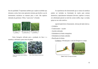 feno de qualidade. É importante também que a espécie escolhida seja

As experiências têm demonstrado que as ramas de mandioca

tolerante a cortes, bem como apresente estrutura que facilite o uso de

podem ser incluídas na formulação de rações para animais

instrumentos mecânicos ou manuais para o corte. São espécies

domésticos, especialmente ruminantes (bovinos, caprinos e ovinos),

indicadas de garmineas: Tifton, “coast-cross” e Gramão.

em substituição parcial ou total dos cereais (milho, trigo e cevada),
graças ao seu valor nutritivo.
EQUIPAMENTOS UTILIZADOS: (FENAÇÃO MECÂNICA)
- Ceifadeira
- Condicionador – secador

Tifton

Coast cross

Gramão

- Ancinho enleirador
- Enfardadeira de fardos retangulares
- Enfardadeira de fardos redondos

Outra forrageira utilizada para a produção de feno é a
mandioca, utilizando a parte aérea da planta.

Fonte: Feno da parte aéra da mandioca,
FOPAMA

- Plastificador de fardos
Ceifadeira: Utilizada para o corte da forragem no campo.

Fonte: Wilma Wanda de Souza Emeri

Fonte: imagens retiradas do Google.

32

 