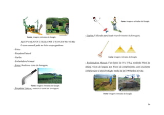 Fonte: imagens retiradas do Google.

Fonte: imagens retiradas do Google.

- Garfos: Utilizado para fazer o revolvimento da forragem.

EQUIPAMENTOS UTILIZADOS (FENAGEM MANUAL)
O corte manual pode ser feito empregando-se:
- Foice
- Roçadoral lateral
Fonte: imagens retiradas do Google.

- Garfos
- Enfardadora Manual
- Foice: Realiza o corte da forragem.

- Enfardadeira Manual: Faz fardos de 10 e 15kg, medindo 40cm de
altura, 45cm de largura por 65cm de comprimento, com excelente
compactação e uma produção média de até 100 fardos por dia.

Fonte: imagens retiradas do Google.

- Roçadora Lateral: Realiza o corte da forragem.
Fonte: imagens retiradas do Google.

34

 