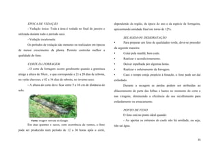 ÉPOCA DE VEDAÇÃO

dependendo da região, da época do ano e da espécie da forrageira,

- Vedação única: Toda a área é vedada no final de janeiro e

apresentando umidade final em torno de 12%.

utilizada durante todo o período seco.
- Vedação escalonada:
Os períodos de vedação são menores ou realizados em épocas
de menor crescimento da planta. Permite controlar melhor a

SECAGEM OU DESIDRATAÇÃO
•

Para preparar um feno de qualidadee verde, deve-se proceder

da seguinte maneira:
•

Cotar pela manhã, bem cedo.

•

Realizar o acondicionamento.

CORTE DA FORRAGEM

•

Deixar espalhada por algumas horas.

- O corte da forragem ocorre geralmente quando a gramínea

•

Realizar o enleiramento da forragem.

atinge a altura de 50cm , o que corresponde a 21 a 28 dias de rebrota,

•

Caso o tempo esteja propício à fenação, o feno pode ser daí

no verão chuvoso, e 42 a 56 dias de rebrota, no inverno seco.

enfardado.

qualidade do feno.

- A altura do corte deve ficar entre 5 e 10 cm de distância do
solo.

Durante a secagem as perdas podem ser atribuídas ao
dilaceramento de parte das folhas e hastes no momento do corte e
nas viragens, diminuindo a eficiência do seu recolhimento para
enfardamento ou ensacamento.
PONTO DE FENO
O feno está no ponto ideal quando:

Fonte: imagem retirada do Google.

Em dias quentes e secos, com ocorrência de ventos, o feno

- Ao apertar os entrenós do caule não há umidade, ou seja,
não sai água.

pode ser produzido num período de 12 a 36 horas após o corte,
35

 