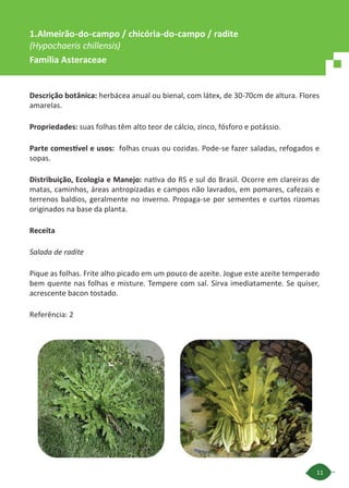 11
Descrição botânica: herbácea anual ou bienal, com látex, de 30-70cm de altura. Flores
amarelas.
Propriedades: suas folhas têm alto teor de cálcio, zinco, fósforo e potássio.
Parte comestível e usos: folhas cruas ou cozidas. Pode-se fazer saladas, refogados e
sopas.
Distribuição, Ecologia e Manejo: nativa do RS e sul do Brasil. Ocorre em clareiras de
matas, caminhos, áreas antropizadas e campos não lavrados, em pomares, cafezais e
terrenos baldios, geralmente no inverno. Propaga-se por sementes e curtos rizomas
originados na base da planta.
Receita
Salada de radite
Pique as folhas. Frite alho picado em um pouco de azeite. Jogue este azeite temperado
bem quente nas folhas e misture. Tempere com sal. Sirva imediatamente. Se quiser,
acrescente bacon tostado.
Referência: 2
1.Almeirão-do-campo / chicória-do-campo / radite
(Hypochaeris chillensis)
Família Asteraceae
 