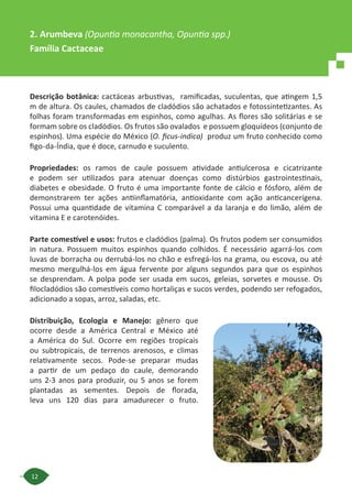 12
Descrição botânica: cactáceas arbustivas, ramificadas, suculentas, que atingem 1,5
m de altura. Os caules, chamados de cladódios são achatados e fotossintetizantes. As
folhas foram transformadas em espinhos, como agulhas. As flores são solitárias e se
formam sobre os cladódios. Os frutos são ovalados e possuem gloquídeos (conjunto de
espinhos). Uma espécie do México (O. ﬁcus-indica) produz um fruto conhecido como
figo-da-Índia, que é doce, carnudo e suculento.
Propriedades: os ramos de caule possuem atividade antiulcerosa e cicatrizante
e podem ser utilizados para atenuar doenças como distúrbios gastrointestinais,
diabetes e obesidade. O fruto é uma importante fonte de cálcio e fósforo, além de
demonstrarem ter ações antiinflamatória, antioxidante com ação anticancerígena.
Possui uma quantidade de vitamina C comparável a da laranja e do limão, além de
vitamina E e carotenóides.
Parte comestível e usos: frutos e cladódios (palma). Os frutos podem ser consumidos
in natura. Possuem muitos espinhos quando colhidos. É necessário agarrá-los com
luvas de borracha ou derrubá-los no chão e esfregá-los na grama, ou escova, ou até
mesmo mergulhá-los em água fervente por alguns segundos para que os espinhos
se desprendam. A polpa pode ser usada em sucos, geleias, sorvetes e mousse. Os
filocladódios são comestíveis como hortaliças e sucos verdes, podendo ser refogados,
adicionado a sopas, arroz, saladas, etc.
Distribuição, Ecologia e Manejo: gênero que
ocorre desde a América Central e México até
a América do Sul. Ocorre em regiões tropicais
ou subtropicais, de terrenos arenosos, e climas
relativamente secos. Pode-se preparar mudas
a partir de um pedaço do caule, demorando
uns 2-3 anos para produzir, ou 5 anos se forem
plantadas as sementes. Depois de florada,
leva uns 120 dias para amadurecer o fruto.
2. Arumbeva (Opuntia monacantha, Opuntia spp.)
Família Cactaceae
 