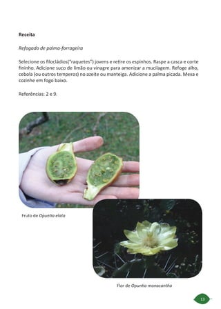 13
Fruto de Opuntia elata
Flor de Opuntia monacantha
Receita
Refogado de palma-forrageira
Selecione os filocládios(“raquetes”) jovens e retire os espinhos. Raspe a casca e corte
fininho. Adicione suco de limão ou vinagre para amenizar a mucilagem. Refoge alho,
cebola (ou outros temperos) no azeite ou manteiga. Adicione a palma picada. Mexa e
cozinhe em fogo baixo.
Referências: 2 e 9.
 
