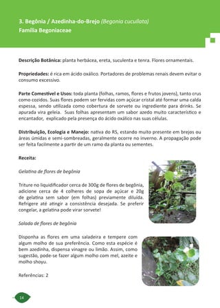 14
Descrição Botânica: planta herbácea, ereta, suculenta e tenra. Flores ornamentais.
Propriedades: é rica em ácido oxálico. Portadores de problemas renais devem evitar o
consumo excessivo.
Parte Comestível e Usos: toda planta (folhas, ramos, flores e frutos jovens), tanto crus
como cozidos. Suas flores podem ser fervidas com açúcar cristal até formar uma calda
espessa, sendo utilizada como cobertura de sorvete ou ingrediente para drinks. Se
apurada vira geleia. Suas folhas apresentam um sabor azedo muito característico e
encantador, explicado pela presença do ácido oxálico nas suas células.
Distribuição, Ecologia e Manejo: nativa do RS, estando muito presente em brejos ou
áreas úmidas e semi-sombreadas, geralmente ocorre no inverno. A propagação pode
ser feita facilmente a partir de um ramo da planta ou sementes.
Receita:
Gelatina de ﬂores de begônia
Triture no liquidificador cerca de 300g de flores de begônia,
adicione cerca de 4 colheres de sopa de açúcar e 20g
de gelatina sem sabor (em folhas) previamente diluída.
Refrigere até atingir a consistência desejada. Se preferir
congelar, a gelatina pode virar sorvete!
Salada de ﬂores de begônia
Disponha as flores em uma saladeira e tempere com
algum molho de sua preferência. Como esta espécie é
bem azedinha, dispensa vinagre ou limão. Assim, como
sugestão, pode-se fazer algum molho com mel, azeite e
molho shoyu.
Referências: 2
3. Begônia / Azedinha-do-Brejo (Begonia cucullata)
Família Begoniaceae
 