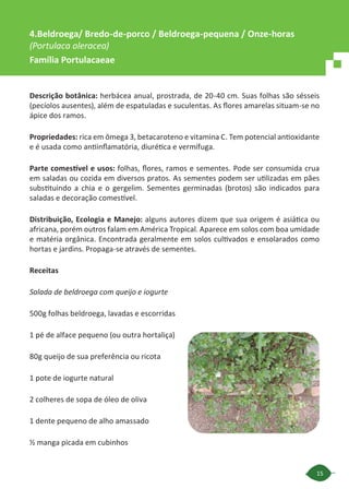 15
Descrição botânica: herbácea anual, prostrada, de 20-40 cm. Suas folhas são sésseis
(pecíolos ausentes), além de espatuladas e suculentas. As flores amarelas situam-se no
ápice dos ramos.
Propriedades: rica em ômega 3, betacaroteno e vitamina C. Tem potencial antioxidante
e é usada como antiinflamatória, diurética e vermífuga.
Parte comestível e usos: folhas, flores, ramos e sementes. Pode ser consumida crua
em saladas ou cozida em diversos pratos. As sementes podem ser utilizadas em pães
substituindo a chia e o gergelim. Sementes germinadas (brotos) são indicados para
saladas e decoração comestível.
Distribuição, Ecologia e Manejo: alguns autores dizem que sua origem é asiática ou
africana, porém outros falam em América Tropical. Aparece em solos com boa umidade
e matéria orgânica. Encontrada geralmente em solos cultivados e ensolarados como
hortas e jardins. Propaga-se através de sementes.
Receitas
Salada de beldroega com queijo e iogurte
500g folhas beldroega, lavadas e escorridas
1 pé de alface pequeno (ou outra hortaliça)
80g queijo de sua preferência ou ricota
1 pote de iogurte natural
2 colheres de sopa de óleo de oliva
1 dente pequeno de alho amassado
½ manga picada em cubinhos
4.Beldroega/ Bredo-de-porco / Beldroega-pequena / Onze-horas
(Portulaca oleracea)
Família Portulacaeae
 