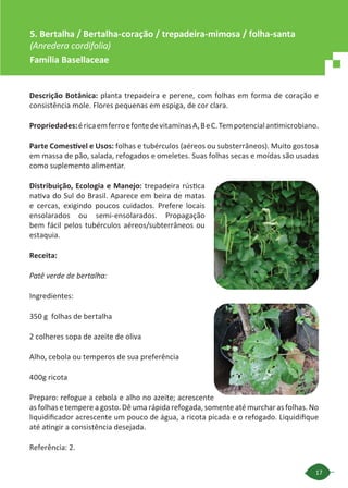 17
Descrição Botânica: planta trepadeira e perene, com folhas em forma de coração e
consistência mole. Flores pequenas em espiga, de cor clara.
Propriedades:éricaemferroefontedevitaminasA,BeC.Tempotencialantimicrobiano.
Parte Comestível e Usos: folhas e tubérculos (aéreos ou substerrâneos). Muito gostosa
em massa de pão, salada, refogados e omeletes. Suas folhas secas e moídas são usadas
como suplemento alimentar.
Distribuição, Ecologia e Manejo: trepadeira rústica
nativa do Sul do Brasil. Aparece em beira de matas
e cercas, exigindo poucos cuidados. Prefere locais
ensolarados ou semi-ensolarados. Propagação
bem fácil pelos tubérculos aéreos/subterrâneos ou
estaquia.
Receita:
Patê verde de bertalha:
Ingredientes:
350 g folhas de bertalha
2 colheres sopa de azeite de oliva
Alho, cebola ou temperos de sua preferência
400g ricota
Preparo: refogue a cebola e alho no azeite; acrescente
as folhas e tempere a gosto. Dê uma rápida refogada, somente até murchar as folhas. No
liquidificador acrescente um pouco de água, a ricota picada e o refogado. Liquidifique
até atingir a consistência desejada.
Referência: 2.
5. Bertalha / Bertalha-coração / trepadeira-mimosa / folha-santa
(Anredera cordifolia)
Família Basellaceae
 