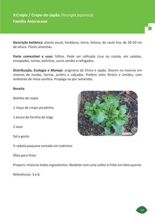 23
Descrição botânica: planta anual, herbácea, tenra, leitosa, de caule liso, de 20-50 cm
de altura. Flores amarelas.
Parte comestível e usos: folhas. Pode ser utilizada crua ou cozida, em saladas,
ensopados, tortas, bolinhos, sucos verdes e refogados.
Distribuição, Ecologia e Manejo: originária da China e Japão. Ocorre no inverno em
viveiros de mudas, hortas, jardins e calçadas. Prefere solos férteis e úmidos, com
ambiente de meia-sombra. Propaga-se por sementes.
Receita
Bolinho de crepis
1 maço de crepis picadinho
1 xícara de farinha de trigo
2 ovos
Sal a gosto
½ cebola pequena cortada em cubinhos
Óleo para fritar
Preparo: misturar todos ingredientes. Modelar com uma colher e fritar em óleo quente.
Referências: 3 e 8.
9.Crepis / Crepe-do-japão (Youngia japonica)
Família Asteraceae
 