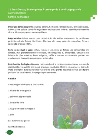 26
Descrição botânica: planta anual ou perene, herbácea. Folhas simples, lâmina obovada,
carnosa, sem pelos e com diferença de cor entre as faces foliares. Tem de 30 a 60 cm de
altura. Flores pequenas, róseas ou lilases.
Propriedades: folhas usadas para cicatrização de feridas, tratamento de problemas
gastrointestinais. Raízes diuréticas. Alto teor de zinco, potássio, magnésio, ferro e
conteúdo proteico (22%).
Parte comestível e usos: folhas, ramos e sementes; as folhas são consumidas em
saladas, mas preferencialmente cozidas, em refogados ou ensopados. Utilizadas no
fabrico de pães caseiros, bolos salgados, suflês e cremes. As sementes podem ser
usadas como decorativas ou assadas sobre pães.
Distribuição, Ecologia e Manejo: nativa do Brasil e continente Americano, tem ampla
distribuição. Frequente em locais úmidos e sombrios. Ocorre em pomares, beira de
mata e terrenos baldios durante o ano todo. Uma planta bastante rústica, que tolera
períodos de seca intensa. Propaga-se por sementes.
Receita
Almôndegas de Ricota e Erva-Gorda
1 xícara de erva-gorda
2 colheres sopa cebola
1 dente de alho
130 gr de ricota esmagada
1 ovo
Sal e pimenta a gosto
Farinha de rosca
11.Erva-Gorda / Major-gomes / carne-gorda / beldroega-grande
(Talinum patens)
Família Talinaceae'
 
