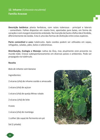 28
Descrição botânica: planta herbácea, com raízes tuberosas - principal e laterais
- comestíveis. Folhas dispostas em roseta livre, apontadas para baixo, em forma de
coração e com margem levemente ondulada. Na inserção da haste a folha não é fendida,
diferentemente da taioba. Esta é uma das formas de distinção entre estas espécies.
Parte comestível e usos: tubérculos. Após cozidos podem ser utilizados em sopas,
refogados, saladas, pães, bolos e sobremesas.
Distribuição, Ecologia e Manejo: nativa da Ásia, mas atualmente está presente no
mundo todo. Cresce subespontaneamente em diversos países e ambientes. Pode ser
propagada via tubérculo.
Receita
Bolo de inhame com banana
Ingredientes:
2 xícaras (chá) de inhame cozido e amassado
1 xícara (chá) de açúcar
1 xícara (chá) de queijo Minas ralado
2 xícaras (chá) de leite
4 ovos
1 xícara (chá) de manteiga
1 colher (de sopa) de fermento em pó
Sal (1 pitada)
12. Inhame (Colocasia esculenta)
Família Araceae
 