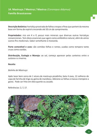 31
Descrição Botânica: hortaliça prostrada de folhas crespas e finas que partem da mesma
base em forma de espiral crescendo até 50 cm de comprimento.
Propriedades: rico em K e P, possui mais minerais que diversas outras hortaliças
convencionais. Tem óleos essenciais que agem como antibiótico natural, além de vários
outros fins medicinais. Sabor semelhante à mostarda.
Parte comestível e usos: são comidas folhas e ramos; usadas como tempero tanto
cruas como cozidas.
Distribuição, Ecologia e Manejo: ao sol, começa aparecer pelos canteiros entre o
outono e o inverno.
Receita
Bolinho de Mastruço
Após lavar bem cerca de 1 xícara de mastruço picadinho, bata 4 ovos, 12 colheres de
sopa de farinha de trigo ou goma de mandioca. Adicione as folhas à massa e tempere a
gosto. Pode ser frito em óleo quente ou assado.
Referências: 2, 7, 17.
14. Mastruço / Mestruz / Mastruz (Coronopus didymus)
Família Brassicaceae
 