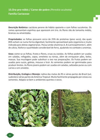 32
Descrição Botânica: cactácea perene de hábito apoiante e com folhas suculentas. Os
ramos apresentam espinhos que aparecem em trio. As flores são de tamanho médio,
brancas ou amareladas.
Propriedades: as folhas possuem cerca de 25% de proteínas (peso seco), das quais
85% acham-se numa forma digestível, facilmente aproveitável pelo organismo e muito
indicada para dietas vegetarianas. Possui ainda vitaminas A, B e principalmente C, além
de cálcio, fósforo e quantidade considerável de ferro, ajudando no combate a anemias.
Usos: come-se as folhas, frutos e flores, cruas ou cozidas. As folhas podem ser usadas
em saladas, refogados, sopas, omeletes ou tortas, além de enriquecer pães, bolos,
massas. Sua mucilagem pode substituir o ovo nas preparações. Os frutos podem ser
usados para sucos, geleias, mousse e licor. As sementes podem ser germinadas para
produzir brotos. As flores jovens podem ser usadas em saladas, salteadas puras ou com
carnes e em omelete.
Distribuição, Ecologia e Manejo: nativa das matas do RS e várias partes do Brasil (sul,
sudeste) e várias partes da América Tropical. Muito facilmente propagada por estaca ou
sementes. Adapta-se bem a ambientes quentes e secos.
15.Ora-pro-nóbis / Carne-de-pobre (Pereskia aculeata)
Família Cactaceae
 