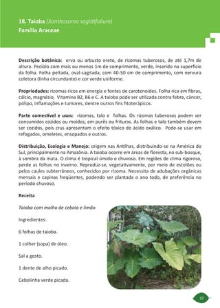 37
Descrição botânica: erva ou arbusto ereto, de rizomas tuberosos, de até 1,7m de
altura. Pecíolo com mais ou menos 1m de comprimento, verde, inserido na superfície
da folha. Folha peltada, oval-sagitada, com 40-50 cm de comprimento, com nervura
coletora (linha circundante) e cor verde uniforme.
Propriedades: rizomas ricos em energia e fontes de carotenoides. Folha rica em fibras,
cálcio, magnésio, Vitamina B2, B6 e C. A taioba pode ser utilizada contra febre, câncer,
pólipo, inflamações e tumores, dentre outros fins fitoterápicos.
Parte comestível e usos: rizomas, talo e folhas. Os rizomas tuberosos podem ser
consumidos cozidos ou moídos, em purês ou frituras. As folhas e talo também devem
ser cozidos, pois crus apresentam o efeito tóxico do ácido oxálico. Pode-se usar em
refogados, omeletes, ensopados e outros.
Distribuição, Ecologia e Manejo: origem nas Antilhas, distribuindo-se na América do
Sul, principalmente na Amazônia. A taioba ocorre em áreas de floresta, no sub-bosque,
à sombra da mata. O clima é tropical úmido e chuvoso. Em regiões de clima rigoroso,
perde as folhas no inverno. Reproduz-se, vegetativamente, por meio de estolões ou
pelos caules subterrâneos, conhecidos por rizoma. Necessita de adubações orgânicas
mensais e capinas freqüentes, podendo ser plantada o ano todo, de preferência no
período chuvoso.
Receita
Taioba com molho de cebola e limão
Ingredientes:
6 folhas de taioba.
1 colher (sopa) de óleo.
Sal a gosto.
1 dente de alho picado.
Cebolinha verde picada.
18. Taioba (Xanthosoma sagittifolium)
Família Araceae
 