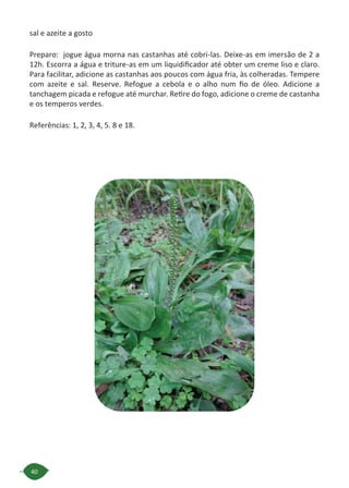 40
sal e azeite a gosto
Preparo: jogue água morna nas castanhas até cobri-las. Deixe-as em imersão de 2 a
12h. Escorra a água e triture-as em um liquidificador até obter um creme liso e claro.
Para facilitar, adicione as castanhas aos poucos com água fria, às colheradas. Tempere
com azeite e sal. Reserve. Refogue a cebola e o alho num fio de óleo. Adicione a
tanchagem picada e refogue até murchar. Retire do fogo, adicione o creme de castanha
e os temperos verdes.
Referências: 1, 2, 3, 4, 5. 8 e 18.
 