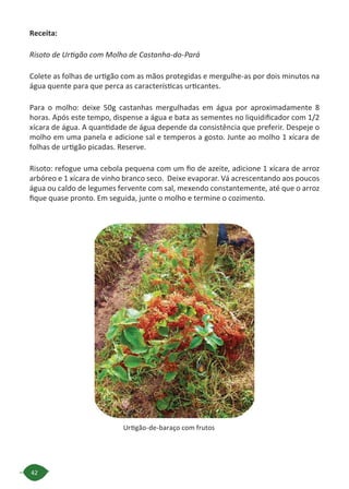 42
Urtigão-de-baraço com frutos
Receita:
Risoto de Urtigão com Molho de Castanha-do-Pará
Colete as folhas de urtigão com as mãos protegidas e mergulhe-as por dois minutos na
água quente para que perca as características urticantes.
Para o molho: deixe 50g castanhas mergulhadas em água por aproximadamente 8
horas. Após este tempo, dispense a água e bata as sementes no liquidificador com 1/2
xícara de água. A quantidade de água depende da consistência que preferir. Despeje o
molho em uma panela e adicione sal e temperos a gosto. Junte ao molho 1 xícara de
folhas de urtigão picadas. Reserve.
Risoto: refogue uma cebola pequena com um fio de azeite, adicione 1 xícara de arroz
arbóreo e 1 xícara de vinho branco seco. Deixe evaporar. Vá acrescentando aos poucos
água ou caldo de legumes fervente com sal, mexendo constantemente, até que o arroz
fique quase pronto. Em seguida, junte o molho e termine o cozimento.
 