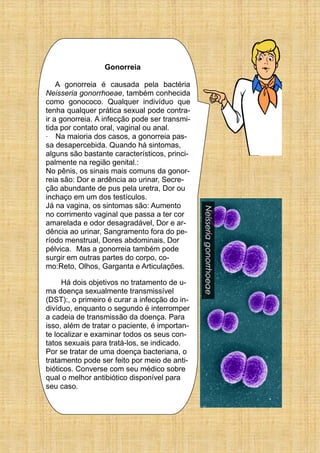 Gonorreia
A gonorreia é causada pela bactéria
Neisseria gonorrhoeae, também conhecida
como gonococo. Qualquer indivíduo que
tenha qualquer prática sexual pode contra-
ir a gonorreia. A infecção pode ser transmi-
tida por contato oral, vaginal ou anal.
· Na maioria dos casos, a gonorreia pas-
sa desapercebida. Quando há sintomas,
alguns são bastante característicos, princi-
palmente na região genital.:
No pênis, os sinais mais comuns da gonor-
reia são: Dor e ardência ao urinar, Secre-
ção abundante de pus pela uretra, Dor ou
inchaço em um dos testículos.
Já na vagina, os sintomas são: Aumento
no corrimento vaginal que passa a ter cor
amarelada e odor desagradável, Dor e ar-
dência ao urinar, Sangramento fora do pe-
ríodo menstrual, Dores abdominais, Dor
pélvica. Mas a gonorreia também pode
surgir em outras partes do corpo, co-
mo:Reto, Olhos, Garganta e Articulações.
Há dois objetivos no tratamento de u-
ma doença sexualmente transmissível
(DST):, o primeiro é curar a infecção do in-
divíduo, enquanto o segundo é interromper
a cadeia de transmissão da doença. Para
isso, além de tratar o paciente, é importan-
te localizar e examinar todos os seus con-
tatos sexuais para tratá-los, se indicado.
Por se tratar de uma doença bacteriana, o
tratamento pode ser feito por meio de anti-
bióticos. Converse com seu médico sobre
qual o melhor antibiótico disponível para
seu caso.
 