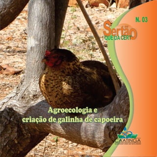 N. 03
                          ertão
                        QUE DÁ CERT




        Agroecologia e
criação de galinha de capoeira
 