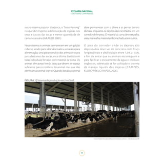 PECUÁRIA NACIONAL
E SISTEMAS CONFINADOS
11
outro sistema popular da época, o “loose-housing”
no que diz respeito à diminuição de injúrias nos
tetos e cascos das vacas e menor quantidade de
cama necessária (ARAUJO, 2001).
Nesse sistema os animais permanecem em um galpão
coberto, sendo parte dele destinado a uma área para
alimentação, uma para exercício dos animais e outra
para descanso das vacas, esta última dividida em
baias individuais forradas com material de cama. Os
animais têm acesso livre às baias, que devem ter espaço
suficiente para o conforto do animal, mas que não
permitamaoanimalvirar-se.Quandodeitado,oanimal
deve permanecer com o úbere e as pernas dentro
da baia, enquanto os dejetos são excretados em um
corredordelimpeza.Omaterialdacamadeveserpalha,
areia,maravalha,materialemborrachado,entreoutros.
O piso do corredor onde os dejetos são
depositados deve ser de concreto com frisos
longitudinais e declividade entre 1,0% a 1,5%,
a fim de evitar que os animais escorreguem e
para facilitar o escoamento da água e resíduos
orgânicos, sobretudo se for utilizado o sistema
de manejo líquido dos dejetos (CAMPOS;
KLOSOWSKI; CAMPOS, 2006).
FIGURA1|SistemadeproduçãoemFreeStall.
Fonte:ProjetoPecuáriadeBaixaEmissãodeCarbono–ValedoJotuva/PR.
 