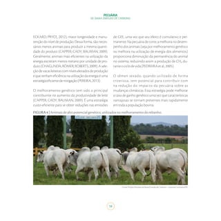 PECUÁRIA
DE BAIXA EMISSÃO DE CARBONO
14
ECKARD; PRYCE, 2012), maior longevidade e manu-
tenção do nível de produção. Dessa forma, são neces-
sários menos animais para produzir a mesma quanti-
dade do produto (CAPPER; CADY; BAUMAN, 2009).
Geralmente, animais mais eficientes na utilização da
energia excretam menos metano por unidade de pro-
duto (CHAGUNDA; RÖMER; ROBERTS, 2009). A sele-
çãodevacasleiteirascomníveiselevadosdeprodução
equetenhameficiêncianautilizaçãodaenergiaéuma
estratégiaeficientedemitigação(PEREIRA,2013).
O melhoramento genético tem sido o principal
contribuinte no aumento da produtividade de leite
(CAPPER; CADY; BAUMAN, 2009). É uma estratégia
custo-eficiente para se obter reduções nas emissões
de GEE, uma vez que seu efeito é cumulativo e per-
manente.Napecuáriadecorte,amelhorianodesem-
penhodosanimais(sejapormelhoramentogenético
ou melhora na utilização de energia dos alimentos)
proporciona diminuição da permanência do animal
no sistema, reduzindo assim a produção de CH₄ du-
ranteociclodevida(PEDREIRAetal.,2005).
O sêmen sexado, quando utilizado de forma
criteriosa, tem potencial para contribuir com
na redução do impacto da pecuária sobre as
mudanças climáticas. Essa estratégia pode melhorar
a taxa de ganho genético uma vez que características
vantajosas se tornam presentes mais rapidamente
emtodaapopulaçãobovina.
FIGURA4|Animaisdealtopotencialgenético,utilizadosnomelhoramentodorebanho.
Fonte:ProjetoPecuáriadeBaixaEmissãodeCarbono–FazendaCachoeira/PR.
 