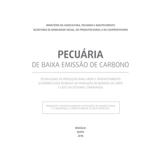MINISTÉRIO DA AGRICULTURA, PECUÁRIA E ABASTECIMENTO
SECRETARIA DE MOBILIDADE SOCIAL, DO PRODUTOR RURAL E DO COOPERATIVISMO
BRASÍLIA
MAPA
2018
TECNOLOGIAS DE PRODUÇÃO MAIS LIMPA E APROVEITAMENTO
ECONÔMICO DOS RESÍDUOS DA PRODUÇÃO DE BOVINOS DE CORTE
E LEITE EM SISTEMAS CONFINADOS
DE BAIXA EMISSÃO DE CARBONO
PECUÁRIA
PROMOVER O DESENVOLVIMENTO SUSTENTÁVEL DA AGROPECUÁRIA
E A SEGURANÇA E COMPETITIVIDADE DE SEUS PRODUTOS.
 