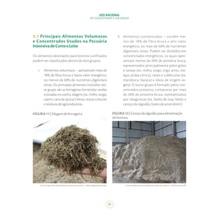 USO RACIONAL
DO CONCENTRADO E VOLUMOSO
31
3.1 Principais Alimentos Volumosos
e Concentrados Usados na Pecuária
IntensivadeCorteeLeite
Os alimentos destinados para bovinos confinados
podem ser classificados dentro de dois grupos:
I.	 Alimentos volumosos – apresentam mais de
18% de fibra bruta e baixo valor energético,
ou menos de 60% de nutrientes digestíveis
totais. Os principais alimentos incluídos nes-
se grupo são as forrageiras fornecidas verdes
e picadas no cocho, silagens (ex. milho, sorgo,
capim, cana de açúcar), fenos, restos culturais
eresíduosdeagroindústrias.
FIGURA11|Silagemdeforrageira.
Fonte:ProjetoPecuáriadeBaixaEmissãodeCarbono–SekitaAgropecuária/MG
FIGURA12|Caroçodealgodãoparaalimentação
debovinos.
Fonte:ProjetoPecuáriadeBaixaEmissãodeCarbono–ValedoJotuva/PR
II.	 Alimentos concentrados – contêm me-
nos de 18% de fibra bruta e alto valor
energético, ou mais de 60% de nutrientes
digestíveis totais. Podem ser divididos em
concentrados energéticos, os quais apre-
sentam menos de 20% de proteína bruta,
representados principalmente pelos grãos
e cereais (ex. milho, sorgo, trigo, arroz, me-
laço, polpa cítrica), raízes e tubérculos (ex.
mandioca, batata) e óleos de origem ve-
getal. O outro grupo é formado pelos con-
centrados proteicos, compostos por mais
de 20% de proteína bruta, representados
por oleaginosas (ex. farelo de soja, farelo e
caroço de algodão, farelo de amendoim).
 