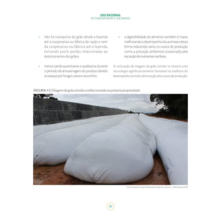 USO RACIONAL
DO CONCENTRADO E VOLUMOSO
35
•	 não há transporte do grão desde a fazenda
até a cooperativa ou fábrica de ração e nem
da cooperativa ou fábrica até a fazenda,
evitando assim perdas relacionadas ao
deslocamentodosgrãos;
•	 menor perda quantitativa e qualitativa durante
operíododearmazenagemdoprodutodevido
aoataqueporfungos,ratosecarunchos.
•	 a digestibilidade do alimento também é maior,
melhorandoodesempenhodosanimaisedessa
forma reduzindo tanto os custos de produção
como a poluição ambiental ocasionada pela
excreçãodenutrientesnasfezes.
A utilização de silagem de grão úmido se mostra uma
tecnologia significativamente favorável na melhora do
desempenhoanimalediminuiçãodoscustosdeprodução.
FIGURA13|Silagemdegrãoúmidoconfeccionadanaprópriapropriedade.
Fonte:ProjetoPecuáriadeBaixaEmissãodeCarbono–ValedoJotuva/PR
 