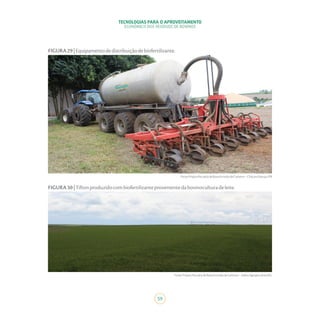 TECNOLOGIAS PARA O APROVEITAMENTO
ECONÔMICO DOS RESÍDUOS DE BOVINOS
59
FIGURA29|Equipamentodedistribuiçãodebiofertilizante.
FIGURA30|Tiftonproduzidocombiofertilizanteprovenientedabovinoculturadeleite.
Fonte:ProjetoPecuáriadeBaixaEmissãodeCarbono–ChácaraMarujo/PR
Fonte:ProjetoPecuáriadeBaixaEmissãodeCarbono–SekitaAgropecuária/MG
 
