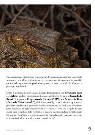 9
Nas vastas áreas disponíveis, a associação de tecnologia com manejo agrícola
sustentável e melhor aproveitamento das culturas já implantadas nos dão
garantia de segurança de produção agrícola, sem necessidade de afrouxar a
proteção ambiental.
Sobre a alegação de que o atual Código Florestal não tem nenhuma base
científica, as duas principais instituições científicas do país, a Sociedade
Brasileira para o Progresso da Ciência (SBPC) e a Academia Bra-
sileira de Ciências (ABC), defendem o código atual e afirmam que a nova
proposta baseia-se na “premissa errônea de que não há mais área disponível
para expansão da agricultura brasileira” e “não foi feita sob a égide de uma
sólida base científica. Pelo contrário, a maioria da comunidade científica não
foi sequer consultada e a reformulação foi pautada muito mais em interesses
unilaterais de determinados setores econômicos”.
Foto: Greenpeace / Daniel Beltrá
 