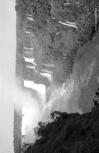 Foz do Iguaçu. Paraná, Brasil.
 