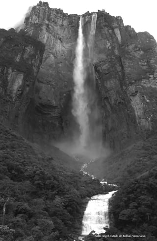Salto Angel. Estado de Bolívar, Venezuela.
 