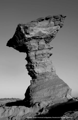 El Hongo. Parque Provincial Ischigualasto, Província de San Juan. Argentina.
 