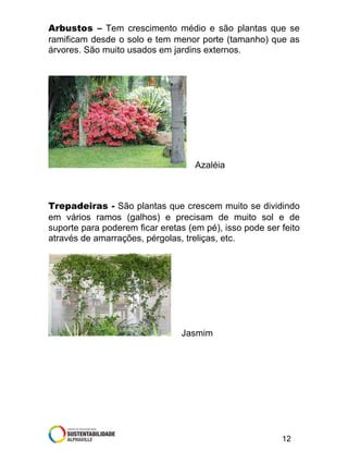 Arbustos – Tem crescimento médio e são plantas que se
ramificam desde o solo e tem menor porte (tamanho) que as
árvores. São muito usados em jardins externos.

Azaléia

Trepadeiras - São plantas que crescem muito se dividindo
em vários ramos (galhos) e precisam de muito sol e de
suporte para poderem ficar eretas (em pé), isso pode ser feito
através de amarrações, pérgolas, treliças, etc.

Jasmim

12

 