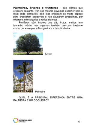 Palmeiras, árvores e frutíferas – são plantas que
crescem bastante. Por isso mesmo devemos escolher bem o
local onde plantá-las, pois elas precisam de muito espaço
para crescerem saudáveis e não causarem problemas, por
exemplo, em calçadas e redes elétricas.
Frutíferas são árvores que dão frutos, muitas tem
tamanho médio, mas algumas também crescem bastante
como, por exemplo, a Mangueira e a Jabuticabeira.

Árvore

Palmeira
QUAL É A PRINCIPAL DIFERENÇA ENTRE UMA
PALMEIRA E UM COQUEIRO?

13

 