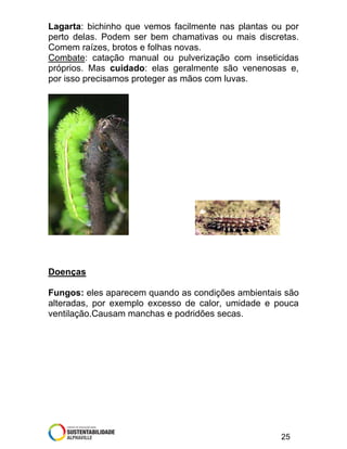 Lagarta: bichinho que vemos facilmente nas plantas ou por
perto delas. Podem ser bem chamativas ou mais discretas.
Comem raízes, brotos e folhas novas.
Combate: catação manual ou pulverização com inseticidas
próprios. Mas cuidado: elas geralmente são venenosas e,
por isso precisamos proteger as mãos com luvas.

Doenças
Fungos: eles aparecem quando as condições ambientais são
alteradas, por exemplo excesso de calor, umidade e pouca
ventilação.Causam manchas e podridões secas.

25

 