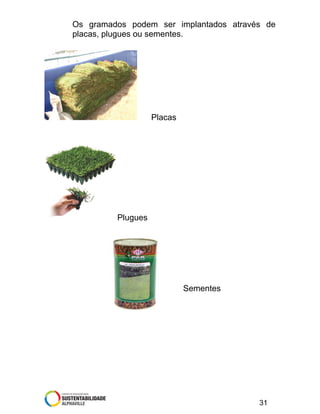 Os gramados podem ser implantados através de
placas, plugues ou sementes.

Placas

Plugues

Sementes

31

 