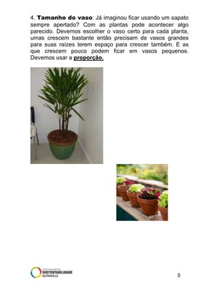4. Tamanho do vaso: Já imaginou ficar usando um sapato
sempre apertado? Com as plantas pode acontecer algo
parecido. Devemos escolher o vaso certo para cada planta,
umas crescem bastante então precisam de vasos grandes
para suas raízes terem espaço para crescer também. E as
que crescem pouco podem ficar em vasos pequenos.
Devemos usar a proporção.

5

 
