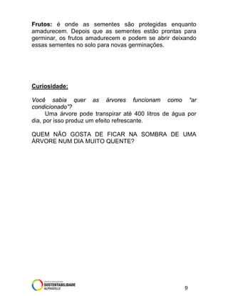 Frutos: é onde as sementes são protegidas enquanto
amadurecem. Depois que as sementes estão prontas para
germinar, os frutos amadurecem e podem se abrir deixando
essas sementes no solo para novas germinações.

Curiosidade:
Você sabia quer as árvores funcionam como “ar
condicionado”?
Uma árvore pode transpirar até 400 litros de água por
dia, por isso produz um efeito refrescante.
QUEM NÃO GOSTA DE FICAR NA SOMBRA DE UMA
ÁRVORE NUM DIA MUITO QUENTE?

9

 