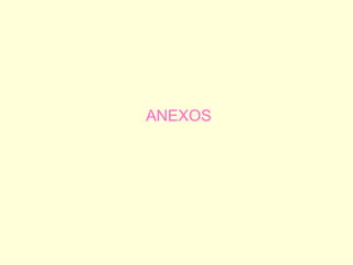 ANEXOS 