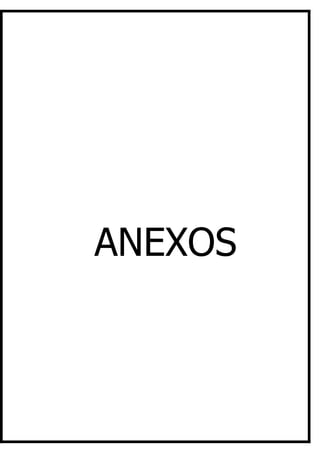 ANEXOS
 