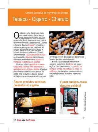 Diga às DrogasNão10
tabaco é uma das drogas mais
Ousadas no mundo. Seus efeitos,
produzidos pela nicotina, causam
uma excitação do sistema nervoso central,
levando facilmente à dependência. Quando
o fumante dá uma ‘ ’, a nicotina étragada
absorvida pelos pulmões, chegando ao
cérebro geralmente em 9 segundos. A
fumaça do cigarro contém um número
aproximado de 4.700 substâncias tóxicas
ao organismo e cancerígenas.algumas
Dentre as principais estão a nicotina, o
monóxido de carbono e o alcatrão.
O uso do tabaco comprime os vasos
sanguíneos, eleva o ritmo cardíaco e a
pressão arterial, diminui o apetite, amortece
parcialmente os sentidos do gosto e do
olfato, irrita os pulmões e pode causar
ainda tonturas e náuseas no início do uso,
devido ao período de adaptação do corpo ao
veneno que está sendo ingerido.
Existe a possibilidade crescente de
causar o surgimento de em várioscâncer
órgãos, como por exemplo, no pulmão, na
laringe e faringe, no esôfago, na boca, no
estômago, dentre outros, responsáveis por
um grande número de mortes no mundo
todo.
Alguns produtos químicos
presentes no cigarro
Fumar também causa
derrame celebral
Cartilha Educativa de Prevenção às DrogasCartilha Educativa de Prevenção às Drogas
Cartilha Educativa de Prevenção às Drogas
Tabaco - Cigarro - Charuto
Fotos:MinistériodaSaúde
 