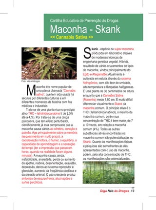 aconha é o nome popular de
Muma planta chamada “Cannabis
sativa”, que tem sido usada há
séculos por diferentes culturas e em
diferentes momentos da história com fins
médicos e industriais
Trata-se de uma planta rica no princípio
ativo ( de 2,5%THC – tetrahidrocanabinol
até a 4,%). Por tratar-se de uma droga
psicoativa, que tem efeito perturbador,
cientificamente já esta comprovado que a
maconha causa danos ,ao cérebro coração e
pulmão. Age principalmente sobre a memória
(esquecimento em curto prazo), a
coordenação motora, o humor, o equilíbrio, a
capacidade de aprendizagem e a sensação
de tempo (ter a impressão que passaram
horas, quando na realidade foram alguns
minutos). A maconha causa, ainda,
instabilidade, ansiedade, perda ou aumento
do apetite, insônia, desorientação, exaustão,
depressão, danos ao sistema reprodutor e
glandular, aumento da freqüência cardíaca e
da pressão arterial. O uso crescente produz
sintomas de esquizofrenia, alucinações e
surtos psicóticos.
Diga às DrogasNão 13
Foto: site antidrogas
Cartilha Educativa de Prevenção às Drogas
Cartilha Educativa de Prevenção às Drogas
Maconha - Skank
<< Cannabis Sativa >>
h
 