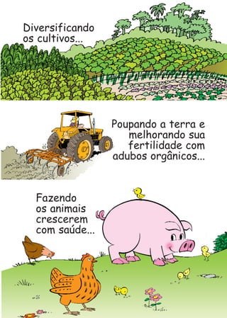 Diversificando
os cultivos...




                 Poupando a terra e
                    melhorando sua
                    fertilidade com
                 adubos orgânicos...


  Fazendo
  os animais
  crescerem
  com saúde...
 