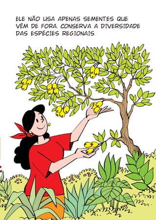ELE NÃO USA APENAS SEMENTES QUE
VÊM DE FORA. CONSERVA A DIVERSIDADE
DAS ESPÉCIES REGIONAIS.
 