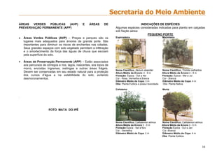 10
ÁREAS VERDES PÚBLICAS (AVP) E ÁREAS DE
PREVERVAÇÃO PERMANENTE (APP)
 Áreas Verdes Públicas (AVP) – Praças e parques são os
lugares mais adequados para árvores de grande porte. São
importantes para diminuir os riscos de enchentes nas cidades.
Seus grandes espaços com solo vegetado permitem a infiltração
e o amortecimento da força das águas de chuva que escoam
pela superfície do solo.
 Áreas de Preservação Permanente (APP) – Estão associados
aos percursos de córregos e rios, lagos, nascentes, aos topos de
morro, encostas íngremes, restingas e outras áreas frágeis.
Devem ser conservadas em seu estado natural para a proteção
dos cursos d’água e na estabilidade do solo, evitando
desmoronamentos.
.
FOTO MATA DO IPÊ
INDICAÇÕES DE ESPÉCIES
Algumas espécies consideradas indicadas para plantio em calçadas
sob fiação aérea:
PEQUENO PORTE
Espirradeira Marinheiro
Nome Científico: Nerium oleander Nome Científico: Trichilia cathartica
Altura Média da Árvore: 4 - 6 m Altura Média da Árvore:4 - 6 m
Floração: Época - Out a Abr Floração: Época - Mai a Jul
Cor - Rosa, Vermelha e Branca Cor - Branca
Diâmetro Médio da Copa: 3 m Diâmetro Médio da Copa: 4 m
Obs: Planta Exótica e possui toxicidade. Obs: Planta Nativa.
Calistemo Murta
Nome Científico: Callistemon atrinus Nome Científico: Callistemon atrinus
Altura Média da Árvore:3 - 5 m Altura Média da Árvore:3 - 5 m
Floração:Época - Set a Nov Floração:Época - Out a Jan
Cor - Vermelha Cor -Branca
Diâmetro Médio da Copa: 2 m Diâmetro Médio da Copa: 4 m
Obs: Planta Exótica.
 