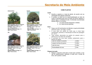 13
Unha de Vaca Canela
Nome Científico: Bauhinia blakeana Nome Científico: Ocotea pretiosa
Altura Média da Árvore: 6 - 8 m Altura Média da Árvore: 7 - 9 m
Floração: Época - Mai a Jul Floração: Época - Ago a Set
Cor – Roxa e Branca Cor - Amarela
Diâmetro Médio da Copa: 5 m Diâmetro Médio da Copa: 7 m
Obs: Planta Exótica. Obs: Planta Nativa.
Oiti Calicarpa
Nome Científico: Licania tomentosa Nome Científico: Callicarpa reeverti
Altura Média da Árvore: 8 -15m Altura Média da Árvore: 6 - 8 m
Floração: Época - Jun a Ago Floração: Época - Fez a Abr
Cor - Amarela Cor - Roxa
Diâmetro Médio da Copa: 6 m Diâmetro Médio da Copa: 5 m
Obs: Planta Exótica. Obs: Planta Exótica.
COMO PLANTAR
Local
 Escolha a espécie e o local de plantio, de acordo com as
orientações das páginas anteriores.
 O canteiro ou área livre de impermeabilização ao redor da
muda é importante para que as raízes da árvore respirem e
retirem água e nutrientes do solo. A dimensão recomendada
dessas áreas é, no mínimo:
 1 m² para árvores pequenas e médias;
 2 m² para árvores grandes.
Cova
 Faça-a com 60 centímetros de diâmetro e igual profundidade
devendo conter, com folga, o torrão.
 A cova deve ser aberta de modo que a muda fique
centralizada, prevendo a manutenção da faixa de passagem
de 1,20 m.
 Todo entulho decorrente da quebra de passeio para a
abertura de cova deve ser recolhido.
 O perímetro da cova deve receber acabamento após o
término do plantio.
Lado do canteiro de plantio 0,60m
Largura da faixa de grama 0,50m
Lado da cova 0,30m
Profundidade da cova 0,3m
Preparo da muda
 Rasgue o saquinho onde está a muda (caso contrário, a raiz
não se desenvolverá), retirando a muda com o torrão de
terra, sem quebrar o torrão.
 