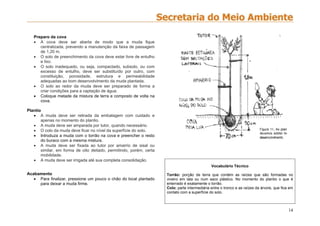 14
Preparo da cova
 A cova deve ser aberta de modo que a muda fique
centralizada, prevendo a manutenção da faixa de passagem
de 1,20 m.
 O solo de preenchimento da cova deve estar livre de entulho
e lixo.
 O solo inadequado, ou seja, compactado, subsolo, ou com
excesso de entulho, deve ser substituído por outro, com
constituição, porosidade, estrutura e permeabilidade
adequadas ao bom desenvolvimento da muda plantada.
 O solo ao redor da muda deve ser preparado de forma a
criar condições para a captação de água.
 Coloque metade da mistura de terra e composto de volta na
cova.
Plantio
 A muda deve ser retirada da embalagem com cuidado e
apenas no momento do plantio.
 A muda deve ser amparada por tutor, quando necessário.
 O colo da muda deve ficar no nível da superfície do solo.
 Introduza a muda com o torrão na cova e preencher o resto
do buraco com a mesma mistura.
 A muda deve ser fixada ao tutor por amarrio de sisal ou
similar, em forma de oito deitado, permitindo, porém, certa
mobilidade.
 A muda deve ser irrigada até sua completa consolidação.
Acabamento
 Para finalizar, pressione um pouco o chão do local plantado
para deixar a muda firme.
COMO CUIDAR
Vocabulário Técnico
Torrão: porção de terra que contém as raízes que são formadas no
viveiro em lata ou num saco plástico. No momento do plantio o que é
enterrado é exatamente o torrão.
Colo: parte intermediária entre o tronco e as raízes da árvore, que fica em
contato com a superfície do solo.
 