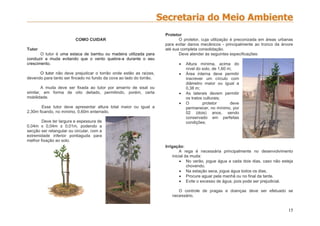 15
COMO CUIDAR
Tutor
O tutor é uma estaca de bambu ou madeira utilizada para
conduzir a muda evitando que o vento quebre-a durante o seu
crescimento.
O tutor não deve prejudicar o torrão onde estão as raízes,
devendo para tanto ser fincado no fundo da cova ao lado do torrão.
A muda deve ser fixada ao tutor por amarrio de sisal ou
similar, em forma de oito deitado, permitindo, porém, certa
mobilidade.
Esse tutor deve apresentar altura total maior ou igual a
2,30m ficando, no mínimo, 0,60m enterrado.
Deve ter largura e espessura de
0,04m x 0,04m ± 0,01m, podendo a
secção ser retangular ou circular, com a
extremidade inferior pontiaguda para
melhor fixação ao solo.
Protetor
O protetor, cuja utilização é preconizada em áreas urbanas
para evitar danos mecânicos - principalmente ao tronco da árvore
até sua completa consolidação.
Deve atender às seguintes especificações:
 Altura mínima, acima do
nível do solo, de 1,60 m;
 Área interna deve permitir
inscrever um círculo com
diâmetro maior ou igual a
0,38 m;
 As laterais devem permitir
os tratos culturais;
 O protetor deve
permanecer, no mínimo, por
02 (dois) anos, sendo
conservado em perfeitas
condições;
Irrigação:
A rega é necessária principalmente no desenvolvimento
inicial da muda:
 No verão, jogue água a cada dois dias, caso não esteja
chovendo.
 Na estação seca, jogue água todos os dias.
 Procure aguar pela manhã ou no final da tarde.
 Evite o excesso de água, pois pode ser prejudicial.
O controle de pragas e doenças deve ser efetuado se
necessário.
 