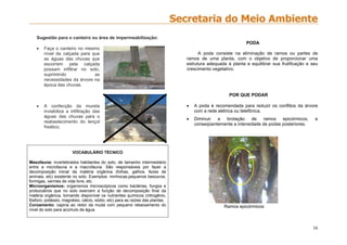 16
Sugestão para o canteiro ou área de impermeabilização:
 Faça o canteiro no mesmo
nível da calçada para que
as águas das chuvas que
escorrem pela calçada
possam infiltrar no solo,
suprimindo as
necessidades da árvore na
época das chuvas.
 A confecção da mureta
inviabiliza a infiltração das
águas das chuvas para o
reabastecimento do lençol
freático.
VOCABULÁRIO TÉCNICO
Mesofauna: invertebrados habitantes do solo, de tamanho intermediário
entre a microfauna e a macrofauna. São responsáveis por fazer a
decomposição inicial da matéria orgânica (folhas, galhos, fezes de
animais, etc) existente no solo. Exemplos: minhocas,pequenos besouros,
formigas, vermes de vida livre, etc.
Microorganismos: organismos microscópicos como bactérias, fungos e
protozoários que no solo exercem a função de decomposição final da
matéria orgânica, tornando disponível os nutrientes químicos (nitrogênio,
fósforo, potássio, magnésio, cálcio, sódio, etc) para as raízes das plantas.
Coroamento: capina ao redor da muda com pequeno rebaixamento do
nível do solo para acúmulo de água.
PODA
A poda consiste na eliminação de ramos ou partes de
ramos de uma planta, com o objetivo de proporcionar uma
estrutura adequada à planta e equilibrar sua frutificação e seu
crescimento vegetativo.
POR QUE PODAR
 A poda é recomendada para reduzir os conflitos da árvore
com a rede elétrica ou telefônica.
 Diminuir a brotação de ramos epicórmicos, e
conseqüentemente a intensidade de podas posteriores.
Ramos epicórmicos
 
