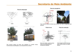 18
Poda de adequação
Antes Depois
Antes Depois
Visa remover partes da árvore que interferem ou causam danos
incontornáveis às edificações ou aos equipamentos urbanos.
Poda de emergência
Visa remover partes da árvore que colocam em risco a segurança das
pessoas.
Poda de raiz Poda de contenção
Deve ser evitada, quando preciso Visa redução da altura da copa
deve ser acompanhada por para mantê-la abaixo da fiação
profissional habilitado elétrica
 
