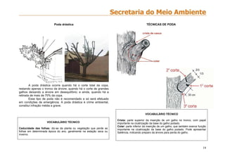 19
Poda drástica
A poda drástica ocorre quando há o corte total da copa,
restando apenas o tronco da árvore; quando há o corte de grandes
galhos deixando a árvore em desequilíbrio; e ainda, quando há a
retirada de mais de 70% da copa.
Esse tipo de poda não é recomendado e só será efetuado
em condições de emergência. A poda drástica é crime ambiental,
constitui infração média a grave.
VOCABULÁRIO TÉCNICO
Caducidade das folhas: diz-se da planta ou vegetação que perde as
folhas em determinada época do ano, geralmente na estação seca ou
inverno.
TÉCNICAS DE PODA
VOCABULÁRIO TÉCNICO
Crista: parte superior da inserção de um galho no tronco, com papel
importante na cicatrização da base do galho podado.
Colar: parte inferior da inserção de um galho, que também exerce função
importante na cicatrização da base do galho podado. Pode apresentar
Saliência, indicando preparo da árvore para perda do galho.
 